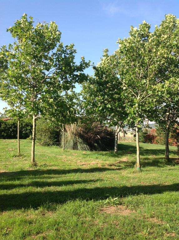 Гостьовий будинок Agriturismo La Fattoria Del Mortelliccio Карбоніфера Екстер'єр фото